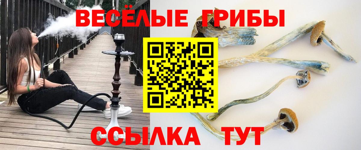 Псилоцибиновые грибы мицелий Троицк